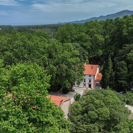 Domaine Castell De Bles Bed & Breakfast Saint-Genis-des-Fontaines Luaran gambar