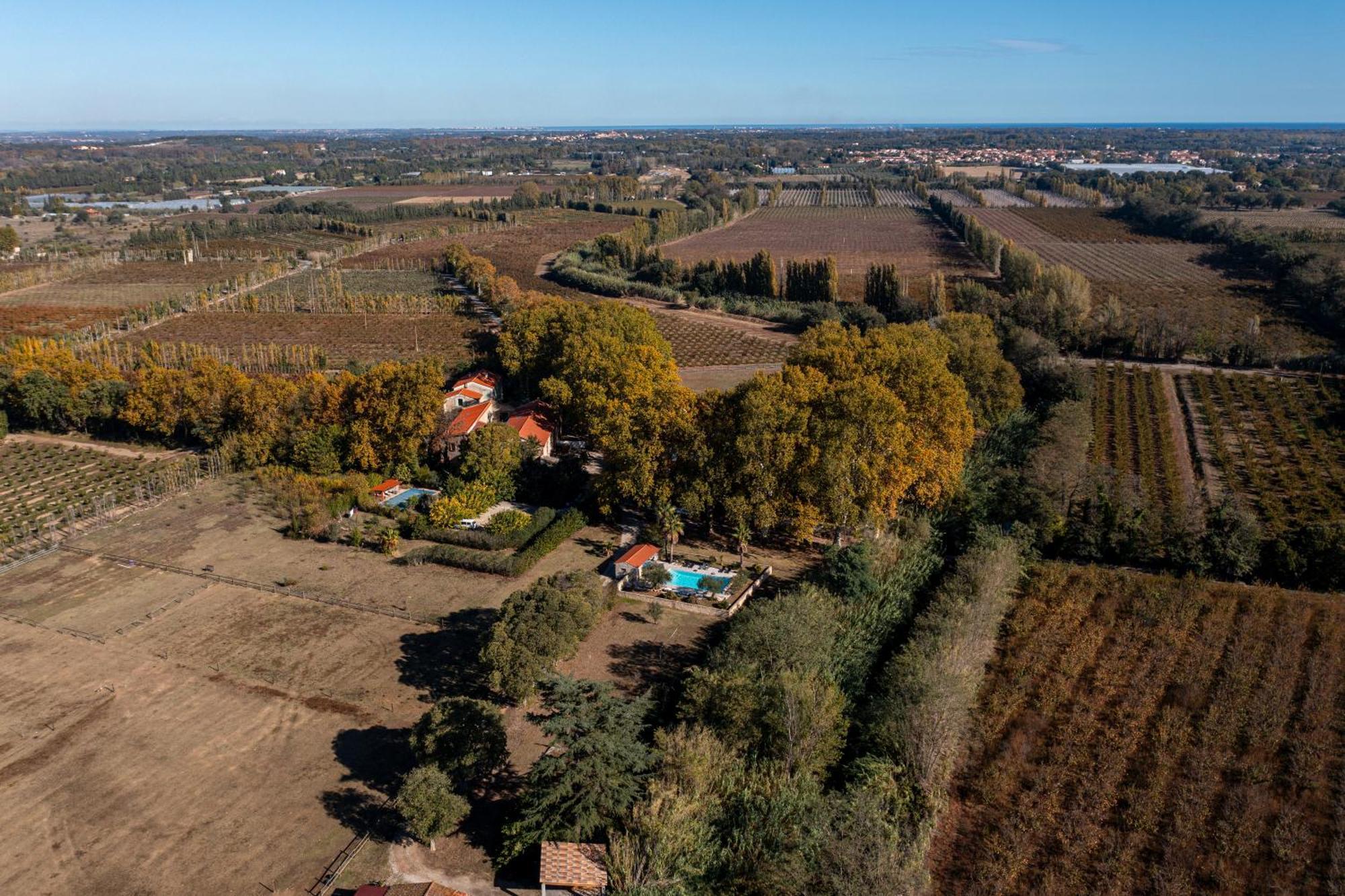 Domaine Castell De Bles Bed & Breakfast Saint-Genis-des-Fontaines Luaran gambar