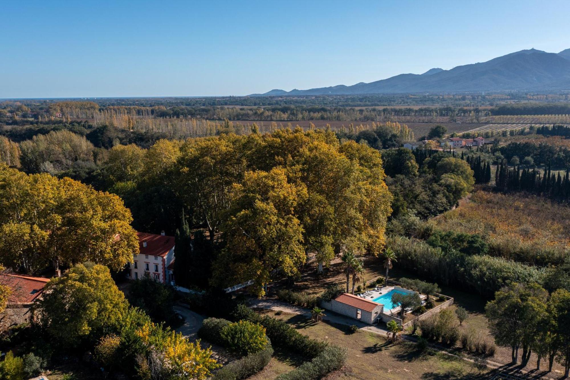 Domaine Castell De Bles Bed & Breakfast Saint-Genis-des-Fontaines Luaran gambar