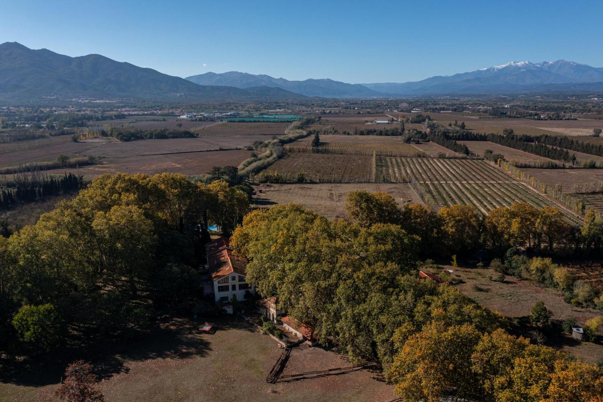 Domaine Castell De Bles Bed & Breakfast Saint-Genis-des-Fontaines Luaran gambar