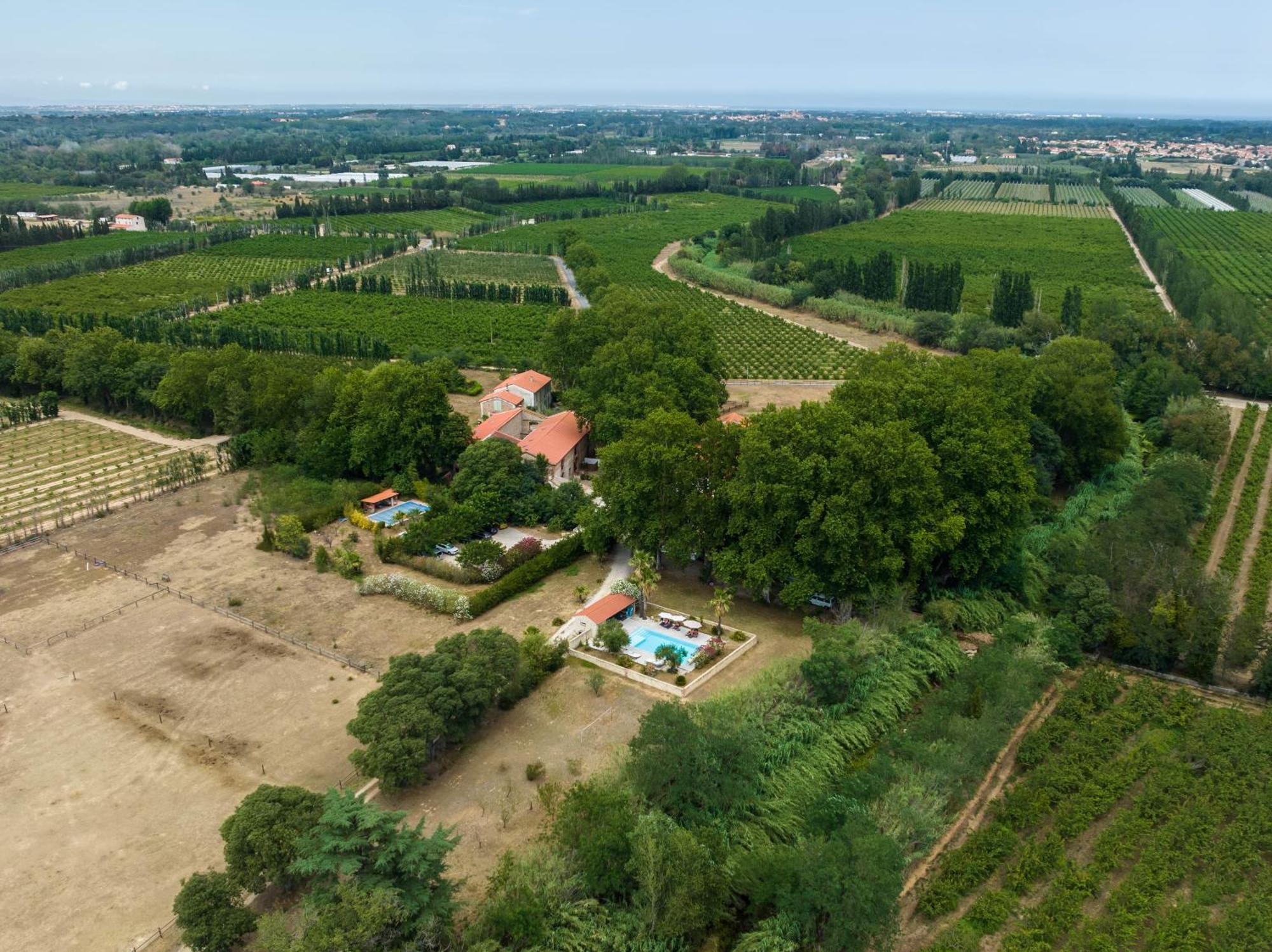 Domaine Castell De Bles Bed & Breakfast Saint-Genis-des-Fontaines Luaran gambar